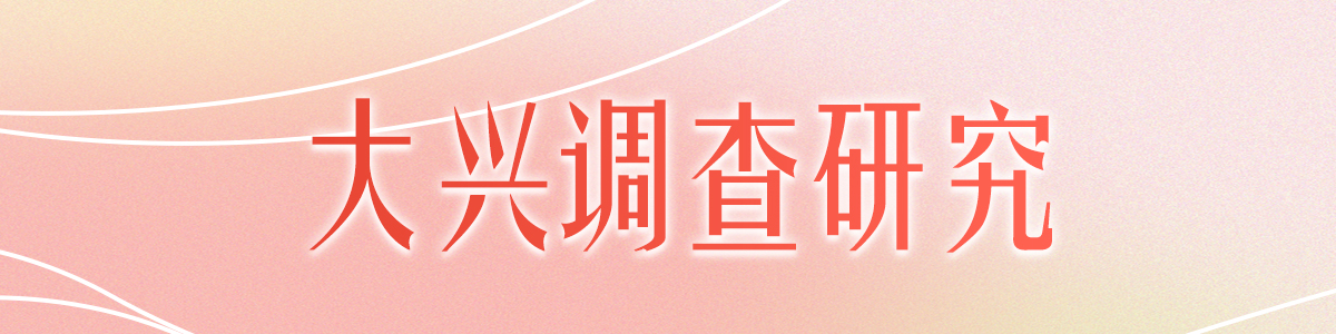大兴调查研究